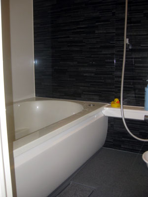 デザイン性の高いアンバーブラックパネル