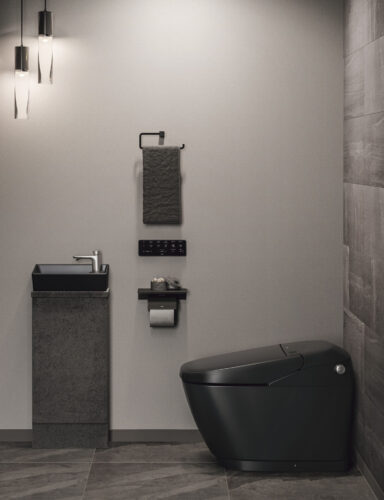 サティスXイメージ