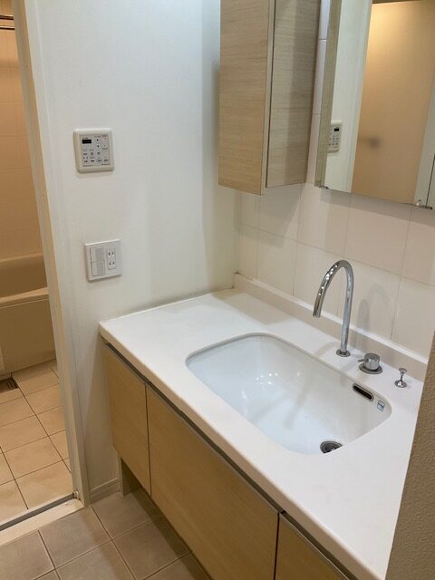 既存洗面化粧台